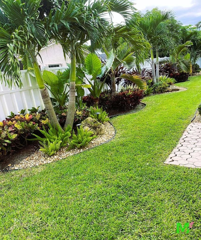 Curved planting bed with royal palms, crotons and river rock border against clean St. Augustine turf