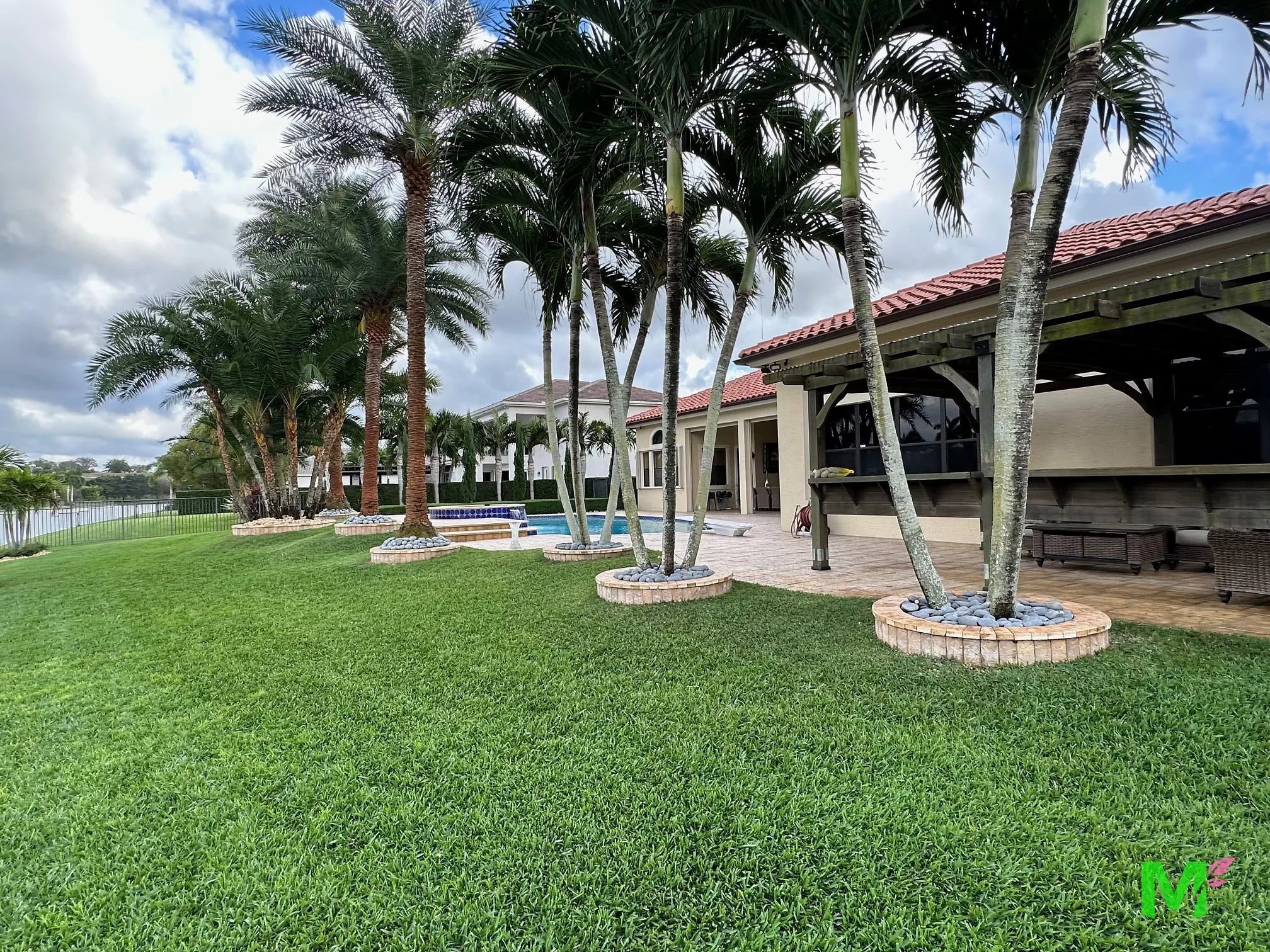 Backyard with a pool, multi-trunk palms set in stone-ringed beds and a wide manicured lawn