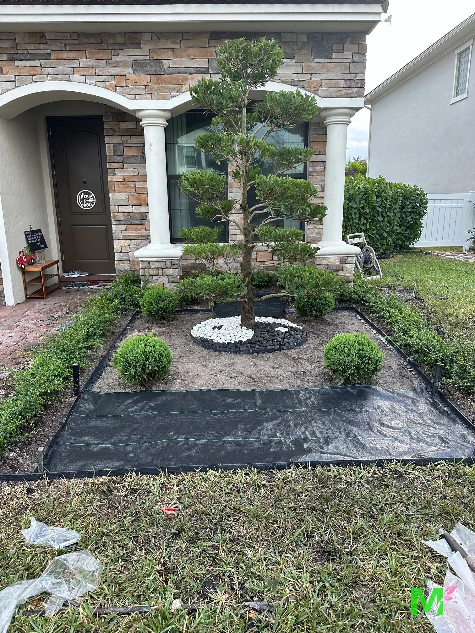 Entry bed during installation, with landscape fabric down around a sculpted tree