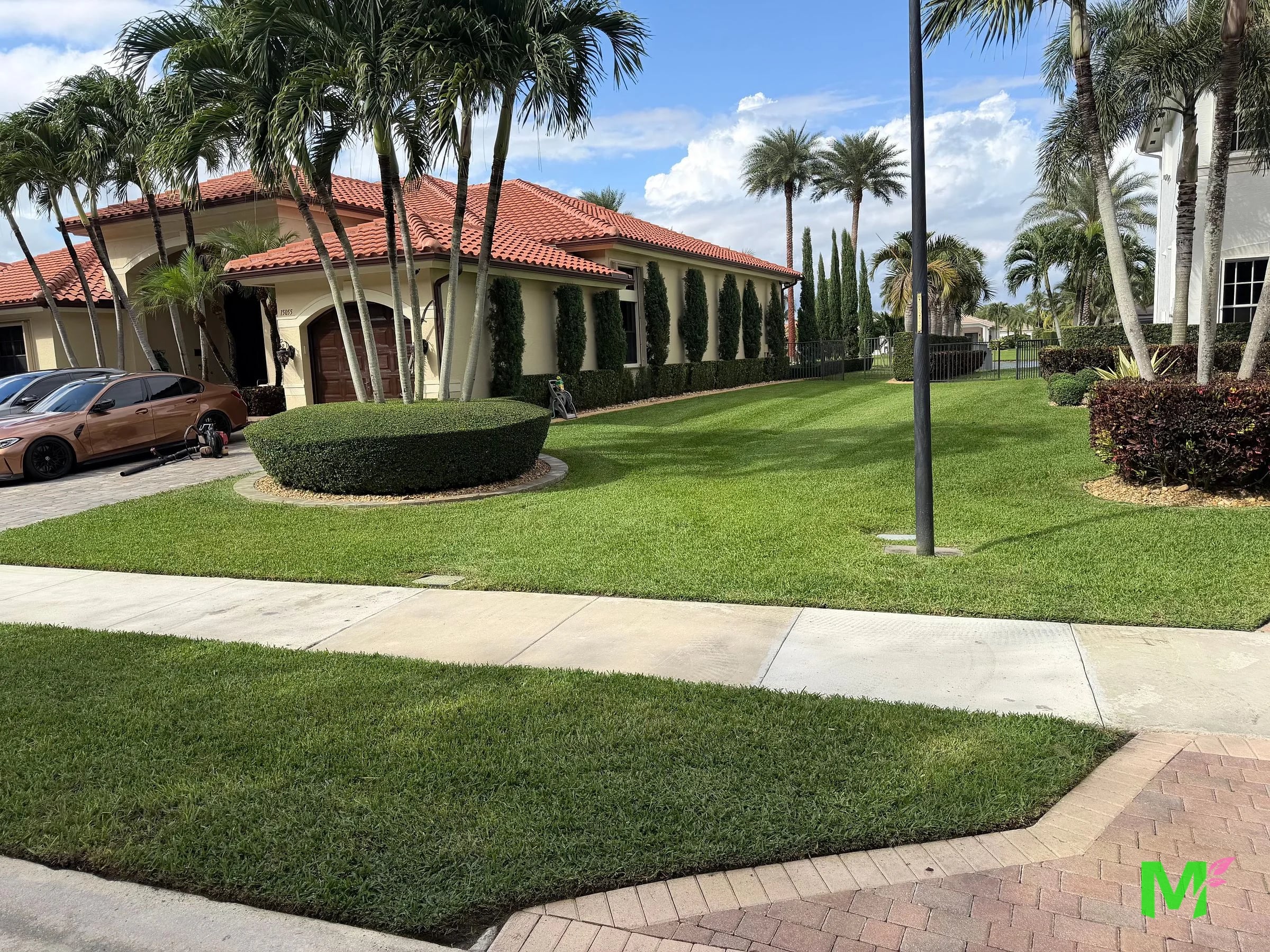 Estate frontage with clipped hedges, a shaped shrub island, palms and a manicured lawn