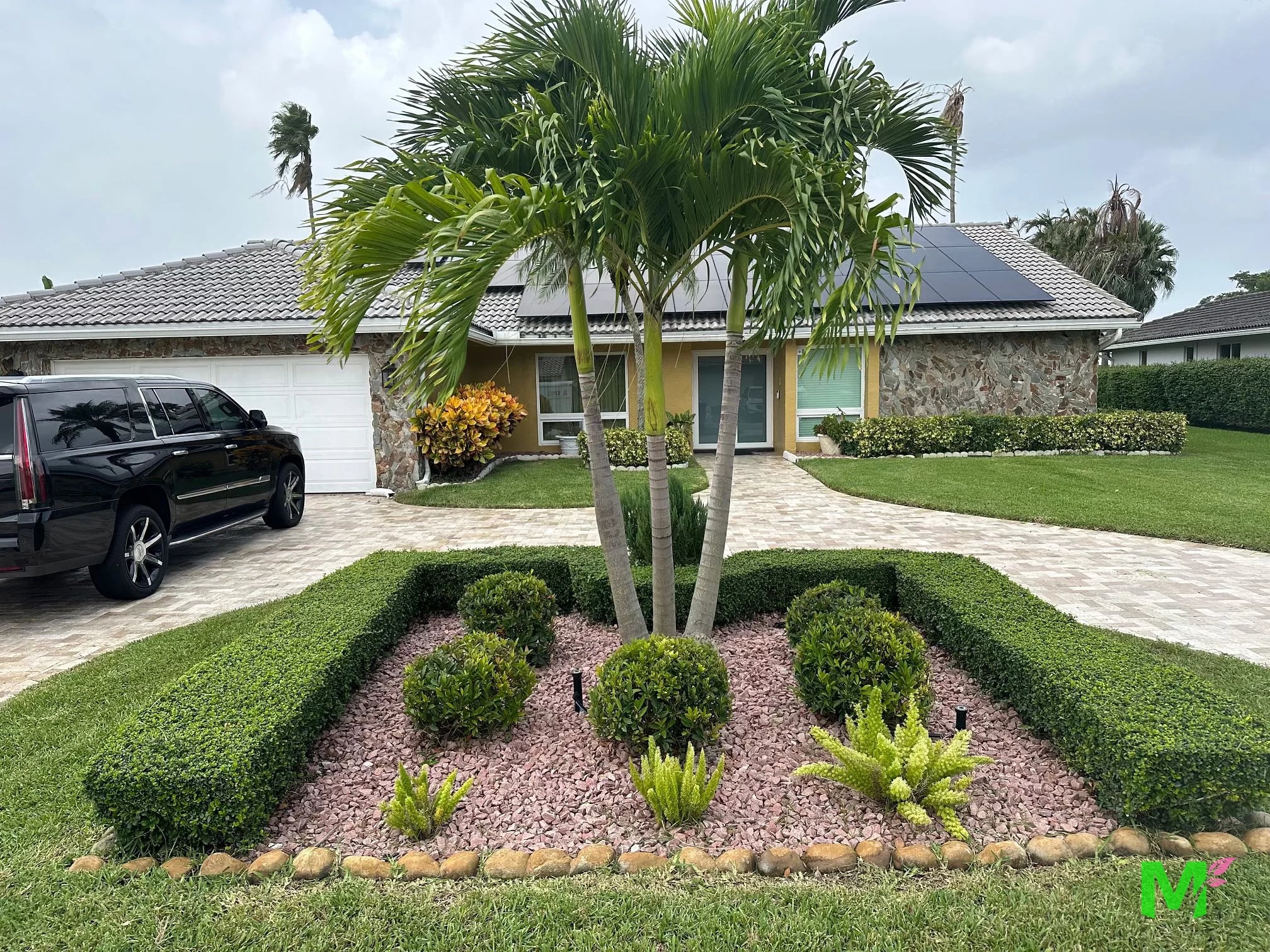 Front yard bed of red rock with palms, rounded shrubs and bromeliads, framed by a clipped hedge and a stone border