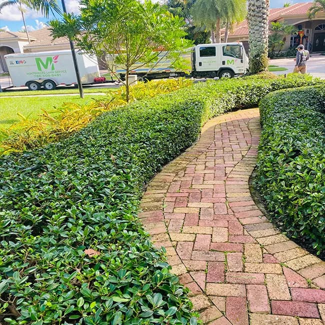 Setos recortados a lo largo de un camino de ladrillo, con un camión, un remolque y un miembro del equipo de Montenegro Lawn Service al fondo