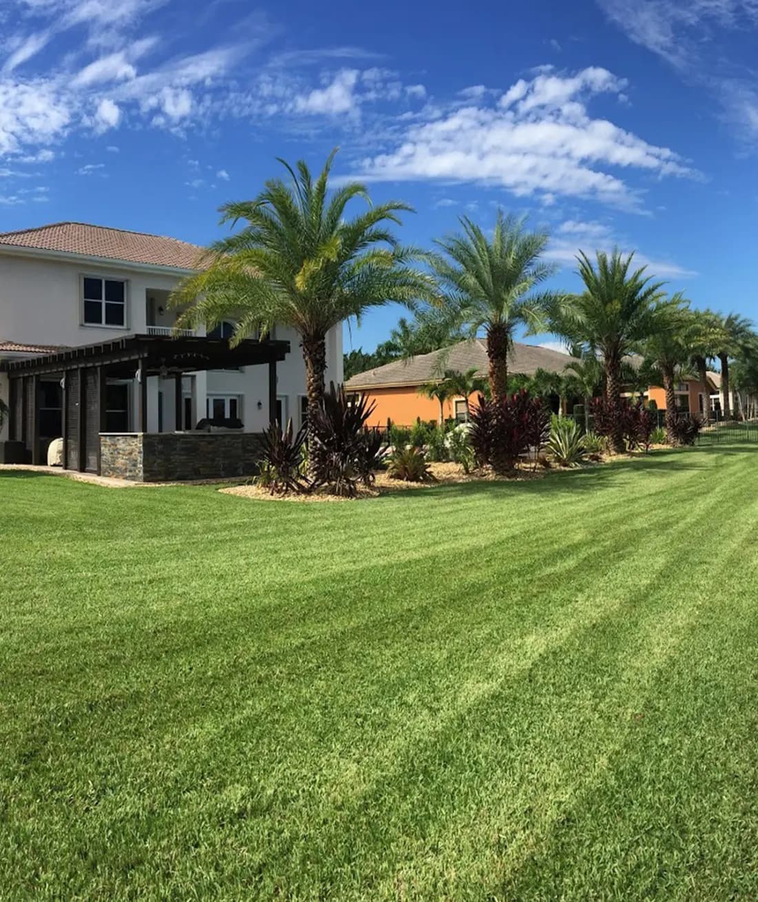 Estate lawn with crisp striped mowing lines, date palms and tropical planting beds